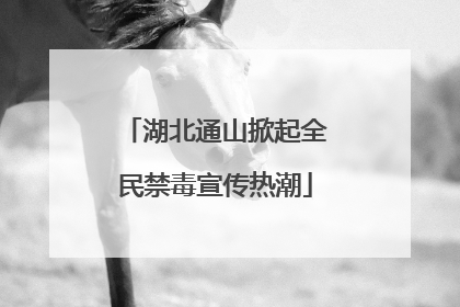 湖北通山掀起全民禁毒宣传热潮