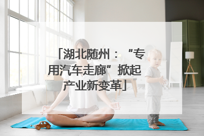 湖北随州：“专用汽车走廊”掀起产业新变革