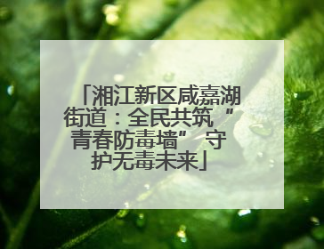 湘江新区咸嘉湖街道：全民共筑“青春防毒墙” 守护无毒未来