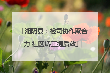 湘阴县：检司协作聚合力 社区矫正提质效