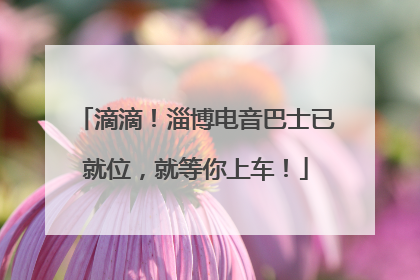 滴滴！淄博电音巴士已就位，就等你上车！