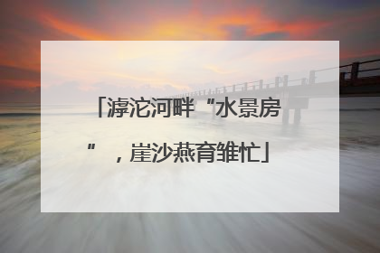 滹沱河畔“水景房”，崖沙燕育雏忙