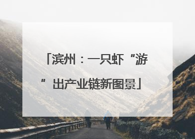 滨州：一只虾“游”出产业链新图景