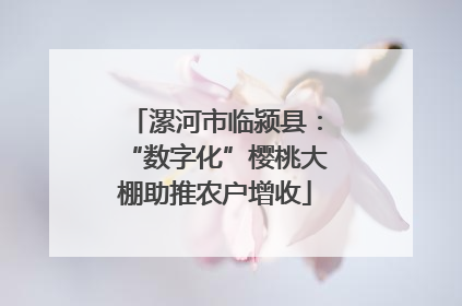 漯河市临颍县：“数字化”樱桃大棚助推农户增收