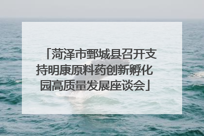 菏泽市鄄城县召开支持明康原料药创新孵化园高质量发展座谈会