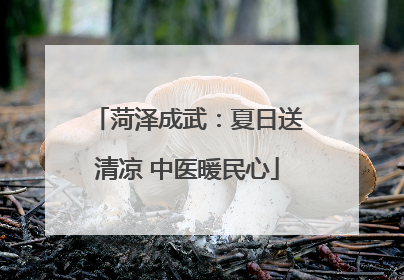 菏泽成武：夏日送清凉 中医暖民心