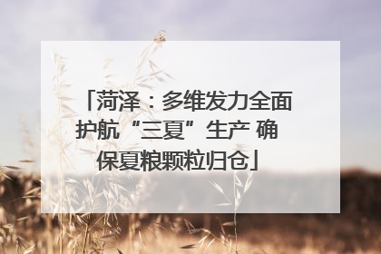 菏泽：多维发力全面护航“三夏”生产 确保夏粮颗粒归仓