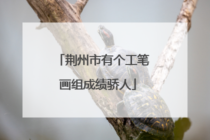 荆州市有个工笔画组成绩骄人