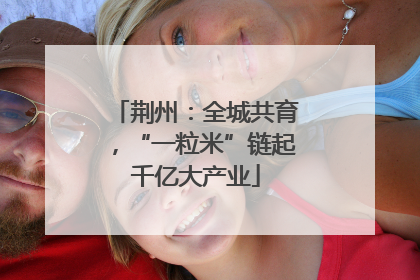 荆州：全城共育，“一粒米”链起千亿大产业