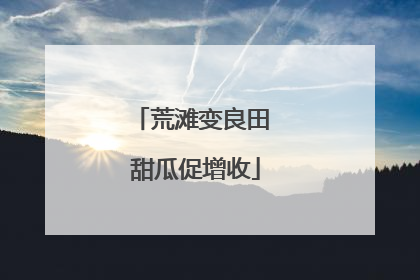 荒滩变良田 甜瓜促增收