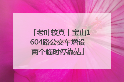 老叶较真丨宝山1604路公交车增设两个临时停靠站