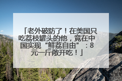 老外破防了！在美国只吃荔枝罐头的他，竟在中国实现“鲜荔自由”：8元一斤敞开吃！