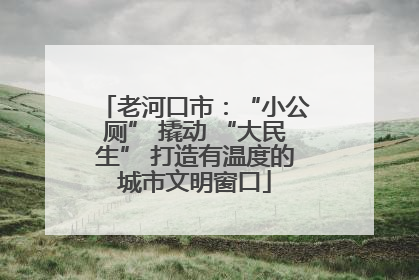 老河口市：“小公厕” 撬动 “大民生” 打造有温度的城市文明窗口