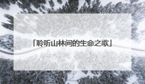 聆听山林间的生命之歌