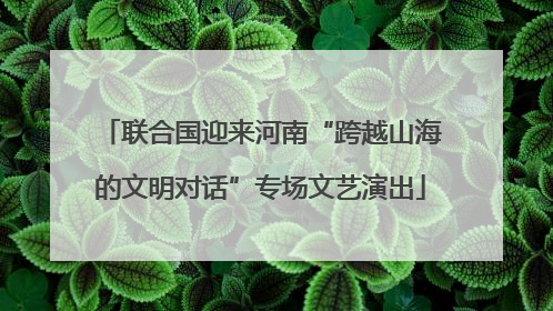 联合国迎来河南“跨越山海的文明对话”专场文艺演出