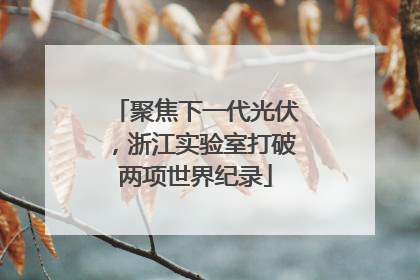 聚焦下一代光伏，浙江实验室打破两项世界纪录