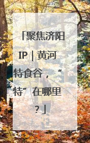 聚焦济阳IP｜黄河特食谷，“特”在哪里？