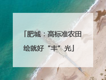 肥城：高标准农田绘就好“丰”光