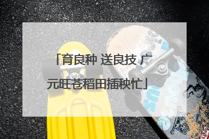 育良种 送良技 广元旺苍稻田插秧忙
