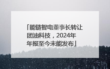 能链智电董事长转让团油科技，2024年年报至今未能发布