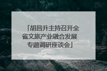 胡昌升主持召开全省文旅产业融合发展专题调研座谈会