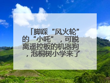 脚踩“风火轮”的“小吒”，可脱离遥控板的机器狗，泡桐树小学来了新朋友！