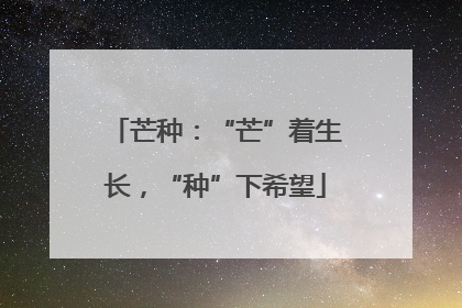 芒种：“芒”着生长，“种”下希望