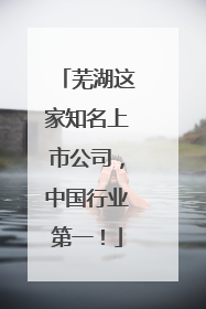 芜湖这家知名上市公司，中国行业第一！