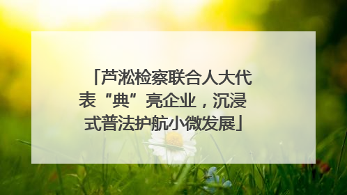 芦淞检察联合人大代表“典”亮企业，沉浸式普法护航小微发展