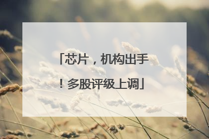 芯片，机构出手！多股评级上调