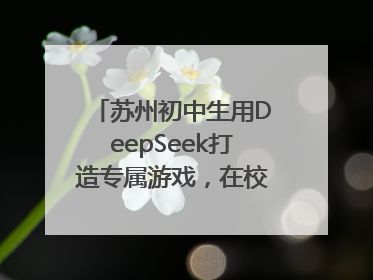 苏州初中生用DeepSeek打造专属游戏，在校园里火了！