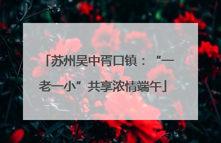 苏州吴中胥口镇：“一老一小”共享浓情端午