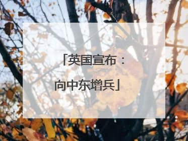 英国宣布：向中东增兵
