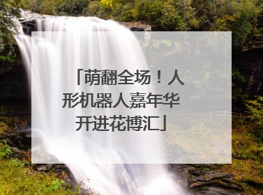 萌翻全场！人形机器人嘉年华开进花博汇