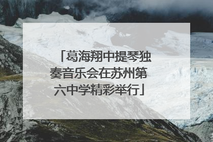 葛海翔中提琴独奏音乐会在苏州第六中学精彩举行