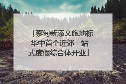 蔡甸新添文旅地标 华中首个近郊一站式度假综合体开业
