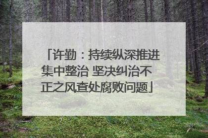 许勤：持续纵深推进集中整治 坚决纠治不正之风查处腐败问题