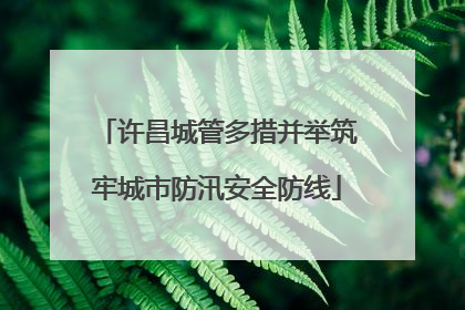 许昌城管多措并举筑牢城市防汛安全防线