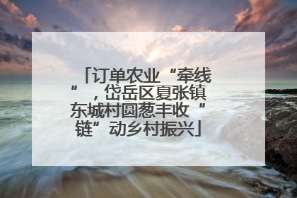 订单农业“牵线”，岱岳区夏张镇东城村圆葱丰收“链”动乡村振兴