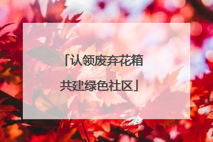 认领废弃花箱 共建绿色社区