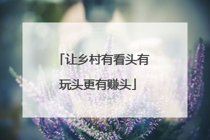 让乡村有看头有玩头更有赚头