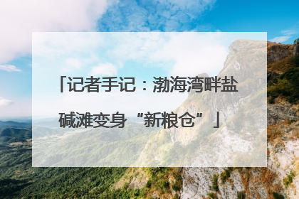 记者手记：渤海湾畔盐碱滩变身“新粮仓”