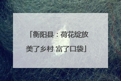 衡阳县：荷花绽放 美了乡村 富了口袋
