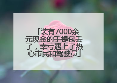 装有7000余元现金的手提包丢了，幸亏遇上了热心市民和驾驶员