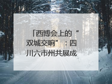 西博会上的“双城交响”：四川六市州共展成渝协同发展画卷｜西博视界