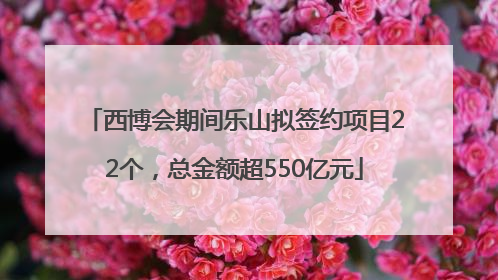 西博会期间乐山拟签约项目22个，总金额超550亿元