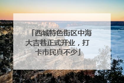 西城特色街区中海大吉巷正式开业，打卡市民真不少