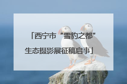 西宁市“雪豹之都”生态摄影展征稿启事