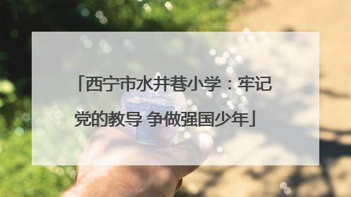 西宁市水井巷小学：牢记党的教导 争做强国少年