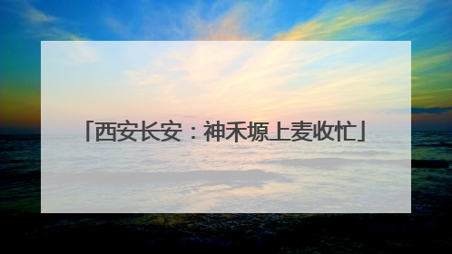西安长安：神禾塬上麦收忙